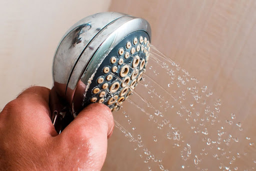 Calcium deposits on handheld shower head